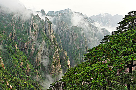 催春水联系方式C1B8D97C5-18975
